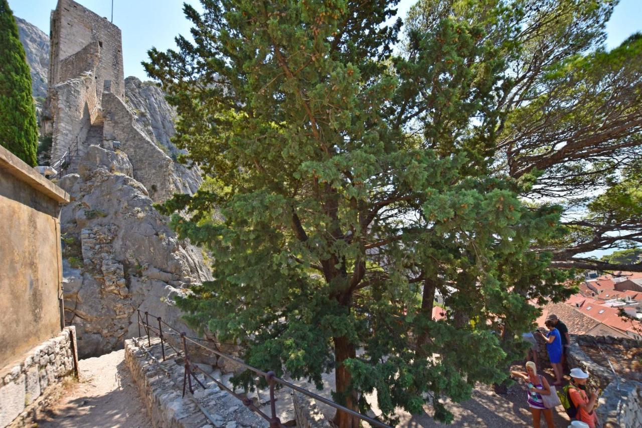 Apartment Mate Omiš Zewnętrze zdjęcie